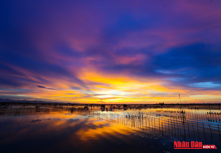 Hoàng hôn tuyệt đẹp trên phá Tam Giang -0