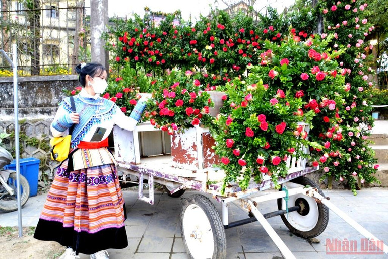 Khai hội “Vũ điệu cao nguyên trắng Bắc Hà” -0