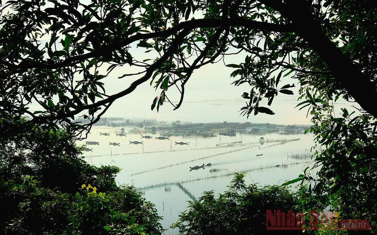 Lênh đênh đầm phá Cầu Hai, cửa biển Tư Hiền -0