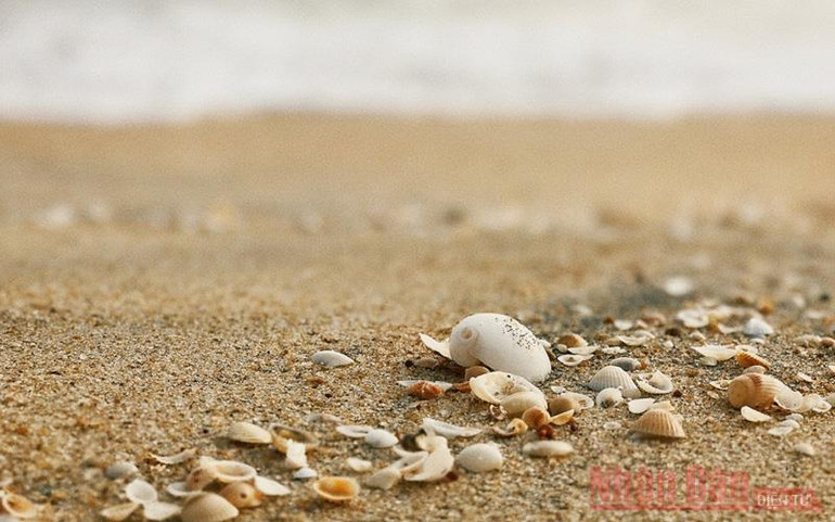 Lênh đênh đầm phá Cầu Hai, cửa biển Tư Hiền -1