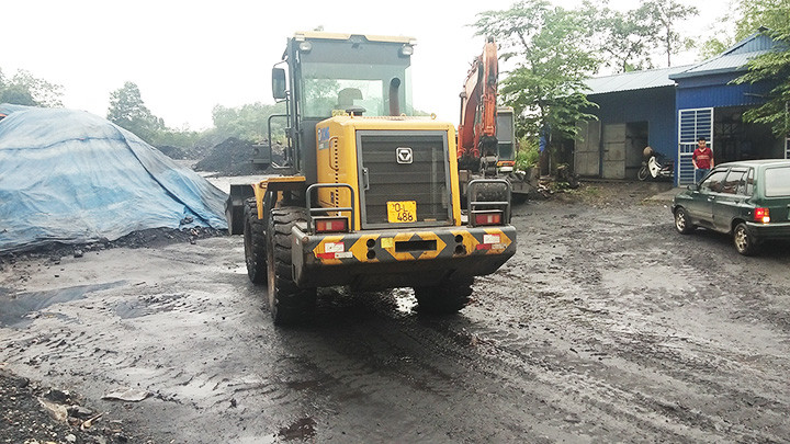 Ký sinh mỏ Phấn Mễ -0