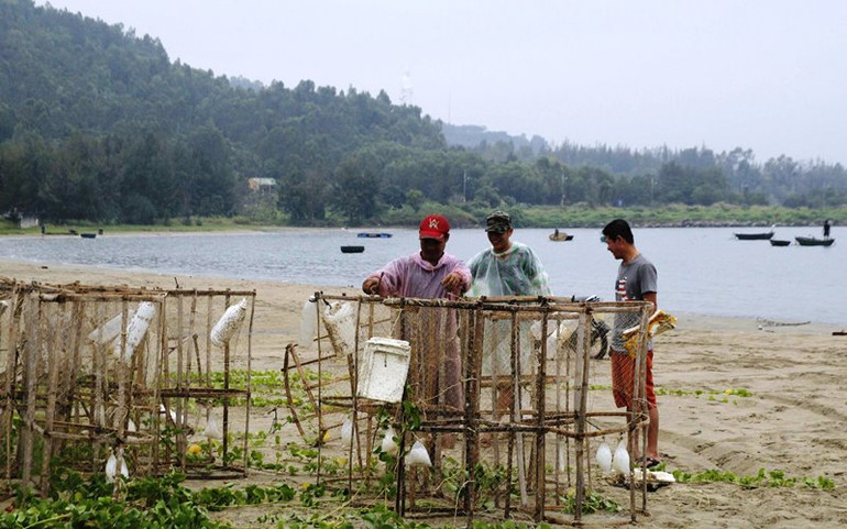 Đà Nẵng khẩn trương ứng phó bão số 5 -0