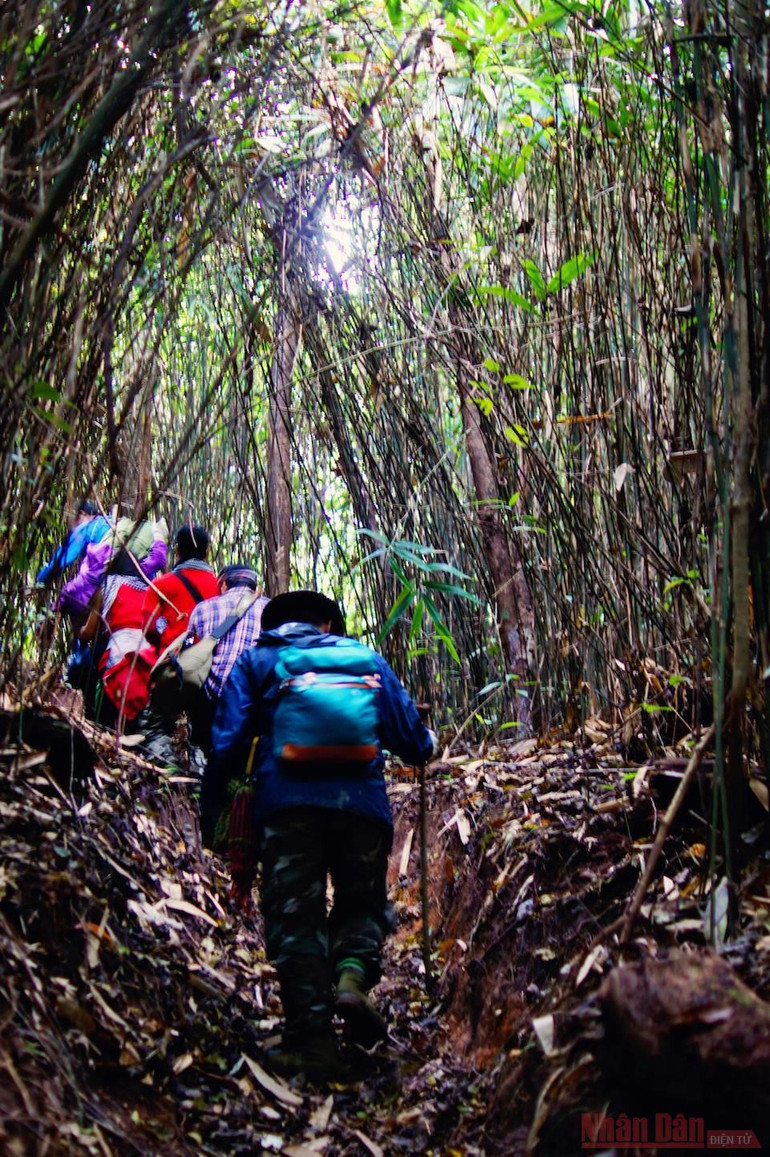 Theo dấu chân đoàn quân Tây Tiến, chinh phục đỉnh Pha Luông mùa lá phong -0