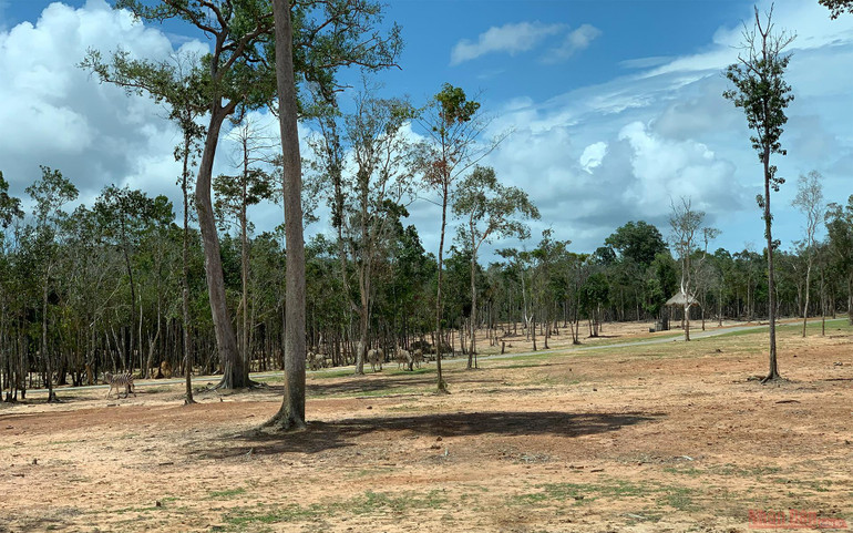 Trải nghiệm công viên động vật hoang dã Safari Phú Quốc -0