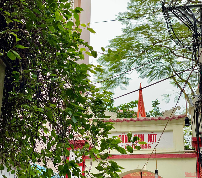 Thời gian như lắng lại dưới những nếp cổng làng. 21conglang_ThuyKHue-1646065259180.jpeg