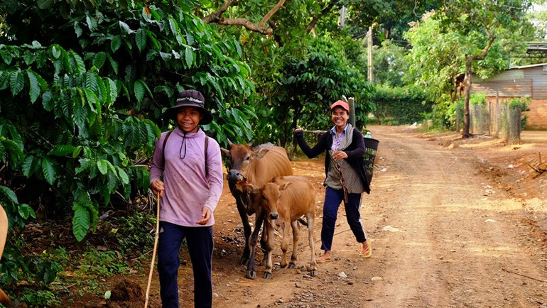 Đòn bẩy phát triển nông thôn ở bình phước -0