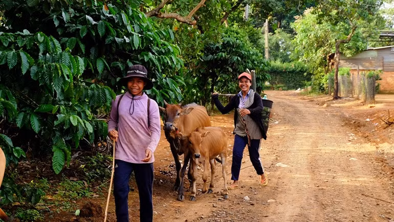 Đòn bẩy phát triển nông thôn ở bình phước -0