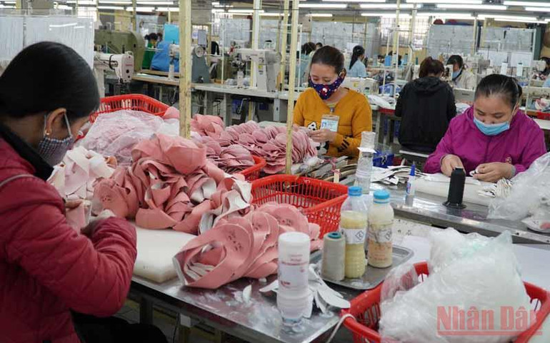 Ngành xuất khẩu tỷ USD “ngấm đòn” Covid-19 -0