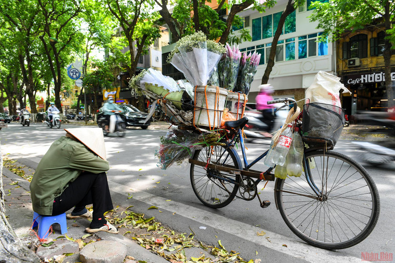 Người bán hàng rong chỉ có cách tìm bóng cây tránh nóng. Người dân Hà Nội chống chọi với nắng nóng gay gắt -0