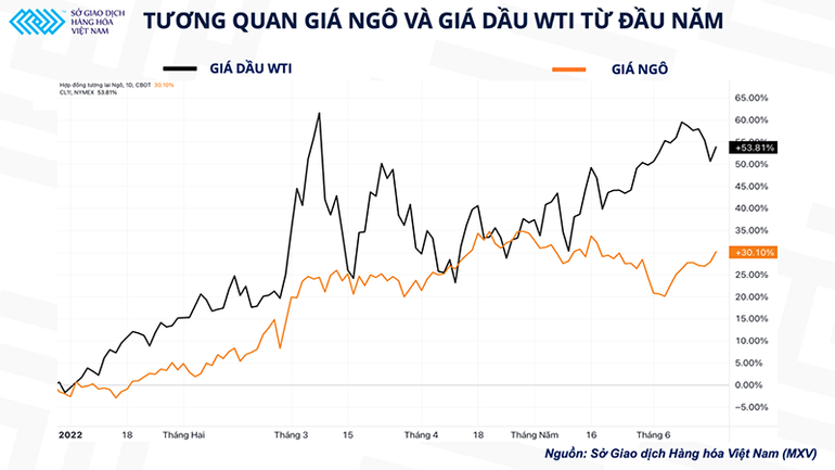 Giá ngô chịu ảnh hưởng từ đà tăng của giá xăng dầu ảnh 1 Giá xăng dầu lập kỉ lục, thị trường đặt câu hỏi “Giá ngô bao giờ giảm?” -0