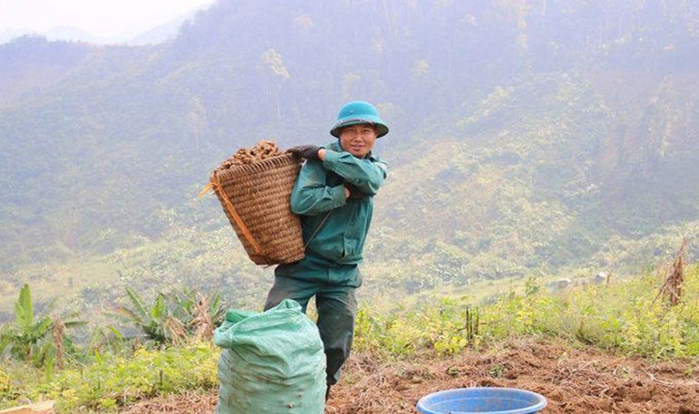 Do không có đường nên bà con phải gùi hàng hóa nông sản trên vai. Sớm đầu tư nâng cấp, mở tuyến đường Tây Sơn – Na Ngoi -0