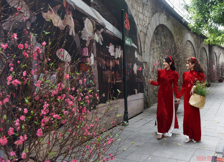  Rực rỡ chợ hoa Tết Hàng Lược -3