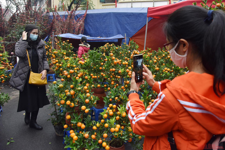  Rực rỡ chợ hoa Tết Hàng Lược -0