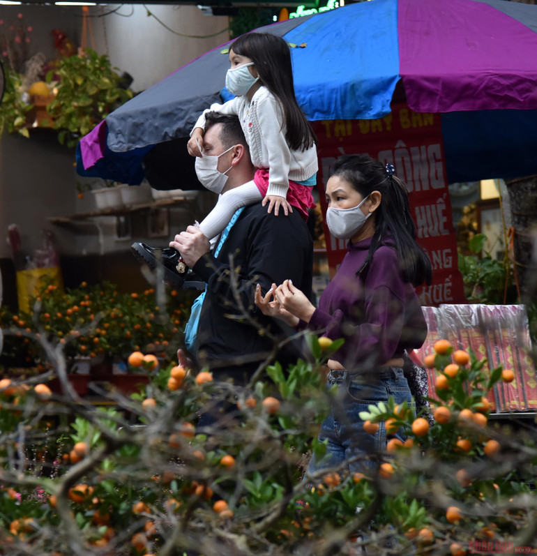  Rực rỡ chợ hoa Tết Hàng Lược -4