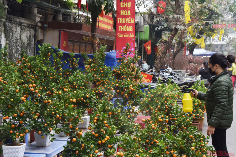  Rực rỡ chợ hoa Tết Hàng Lược -1