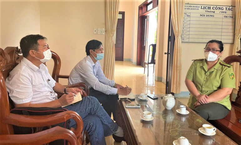 Phát hiện bãi tập kết gỗ trái phép tại Trung tâm Bảo tồn voi Đắk Lắk -0