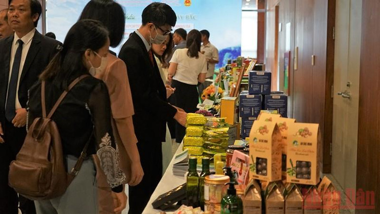 Mở rộng tiềm năng xuất khẩu trà Lai Châu sang Trung Đông, Bắc Phi và Nam Á -0