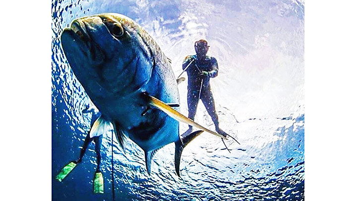 Gặp “quái kiệt” săn cá ở Nha Trang -0