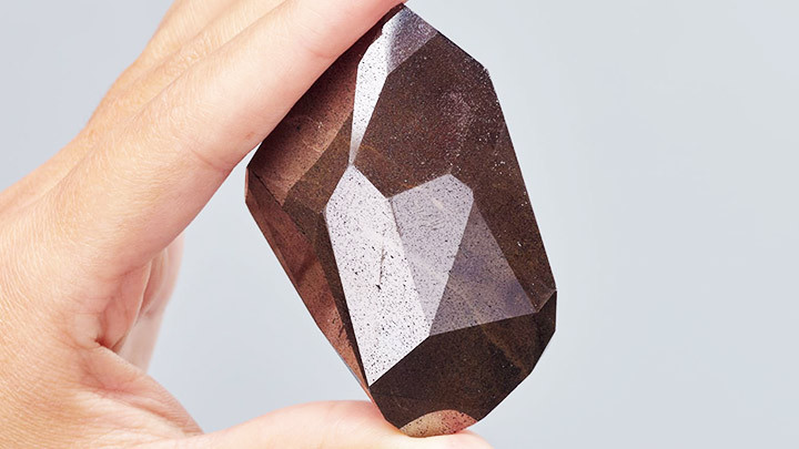 Tượng đầu chó đặc biệt -0