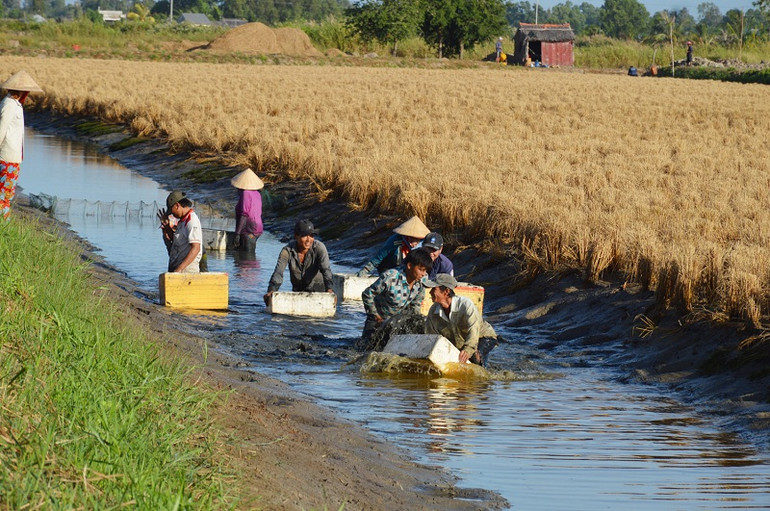 Nghị quyết soi đường, kỳ vọng châu thổ Cửu Long cất cánh -0