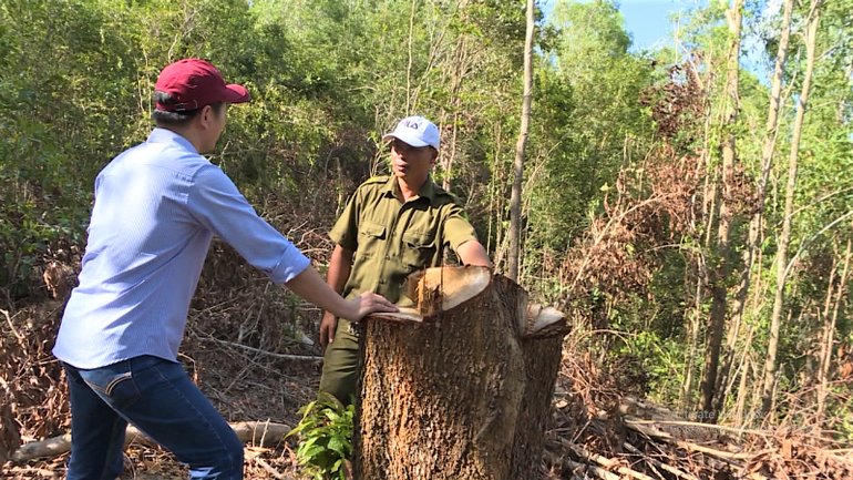 Bắt giam nguyên Giám đốc Công ty lâm nghiệp Ea Kar -0