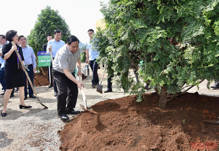 Thủ tướng Phạm Minh Chính trồng cây lưu niệm tại Lễ khởi công dự án “Tổ hợp thiên đường sữa Mộc Châu”. Thủ tướng Phạm Minh Chính dự Lễ khởi công dự án “Tổ hợp Thiên đường sữa Mộc Châu” -0