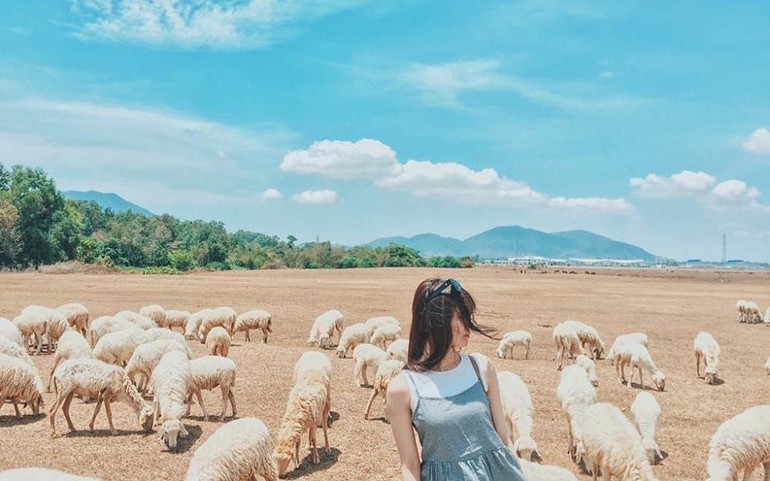 Địa điểm lý tưởng để các bạn trẻ chụp hình (Ảnh: wikitravel) Đồng cừu An Hòa: Điểm “check-in” gây sốt ở Ninh Thuận -0