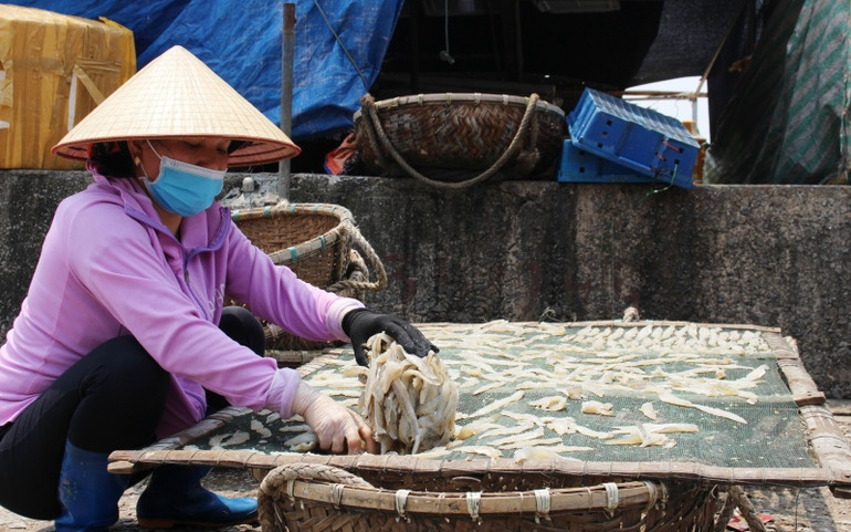 Khó khăn nghề cá ở Thanh Hóa -0