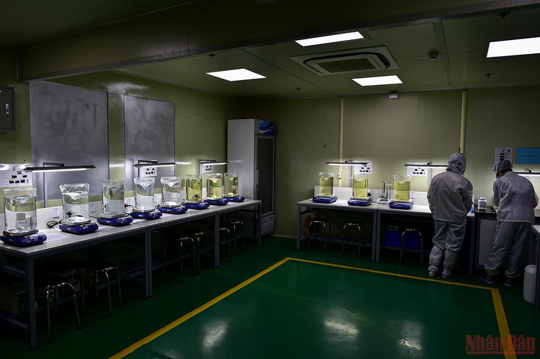 Cận cảnh quy trình sản xuất kit Test nhanh kháng nguyên SARS-CoV-2 “Made in Viet Nam” -0