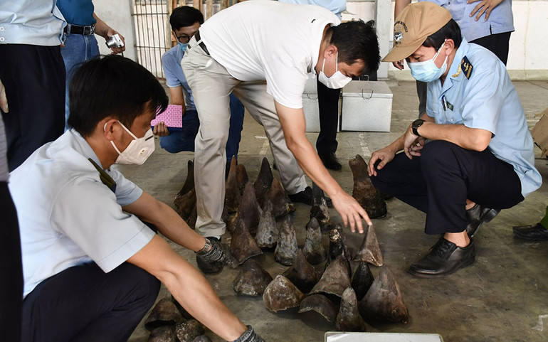 Đà Nẵng bắt giữ số lượng lớn hàng nhập khẩu nghi sừng tê giác, xương động vật hoang dã -0