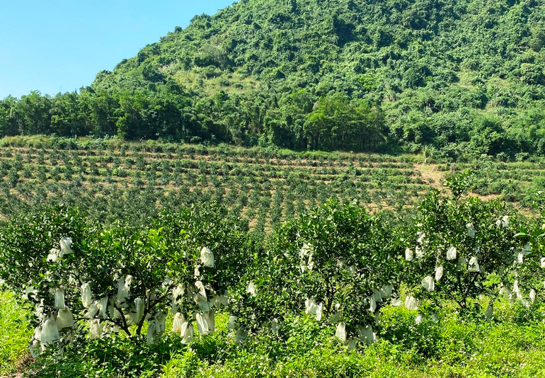 Bài 3: Bài học phát triển nông nghiệp bền vững -0