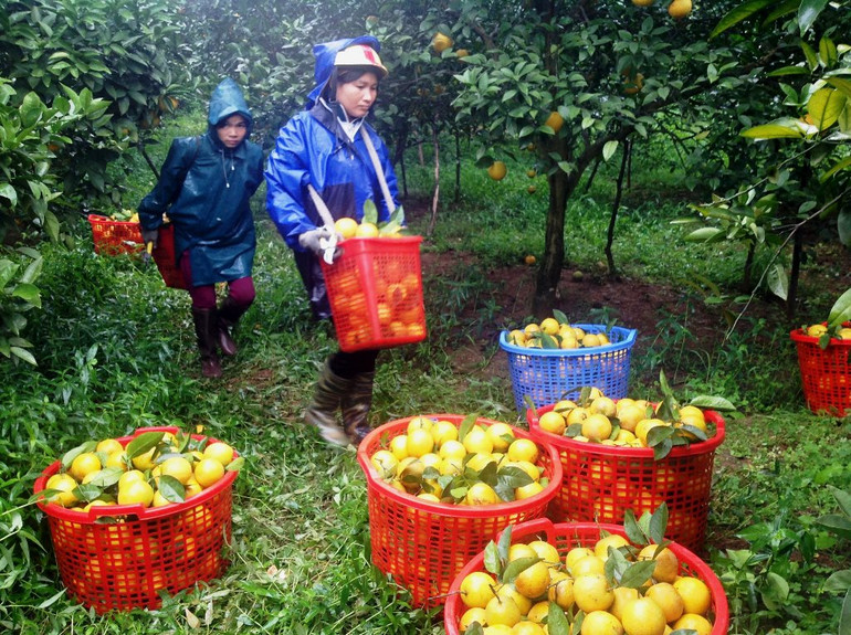 Bài 3: Bài học phát triển nông nghiệp bền vững -0