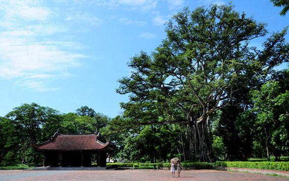 Tu sửa cấp thiết ba tòa Thái miếu ở Lam Kinh -0