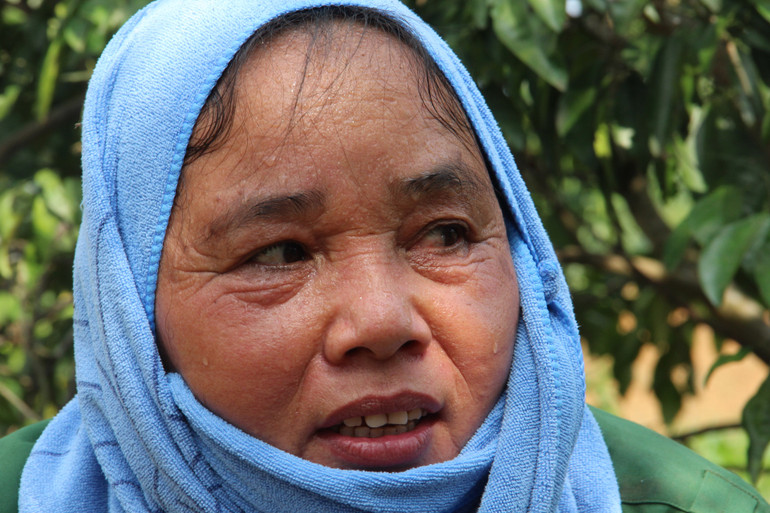 Chuyện “giải cứu” quýt và nghịch lý ở Quỳ Hợp -0