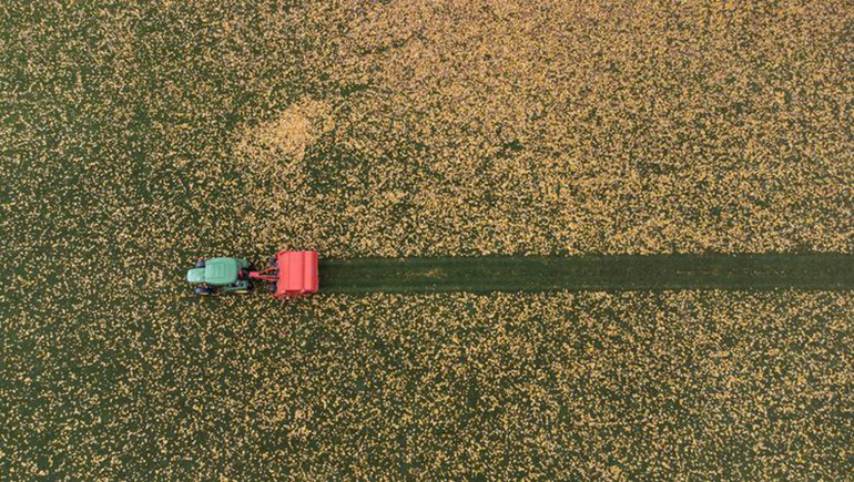 [Ảnh] Nhìn lại năm 2021... từ trên không -0