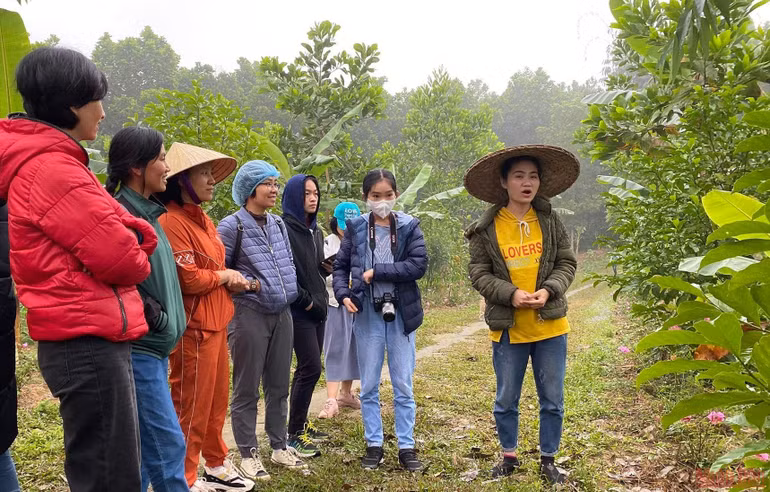 Người phụ nữ bản Thổ khát vọng hồi sinh những cánh rừng và giấc mơ sinh kế bền vững -0