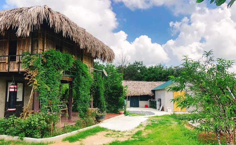 Người phụ nữ bản Thổ khát vọng hồi sinh những cánh rừng và giấc mơ sinh kế bền vững -0