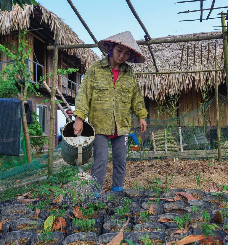 Người phụ nữ bản Thổ khát vọng hồi sinh những cánh rừng và giấc mơ sinh kế bền vững -0