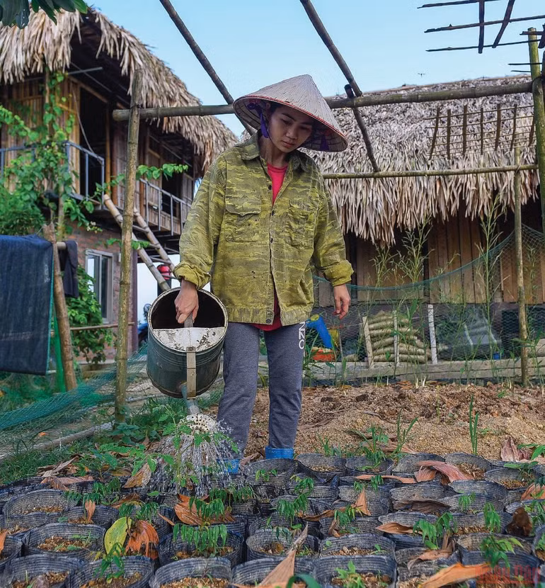 Người phụ nữ bản Thổ khát vọng hồi sinh những cánh rừng và giấc mơ sinh kế bền vững -0