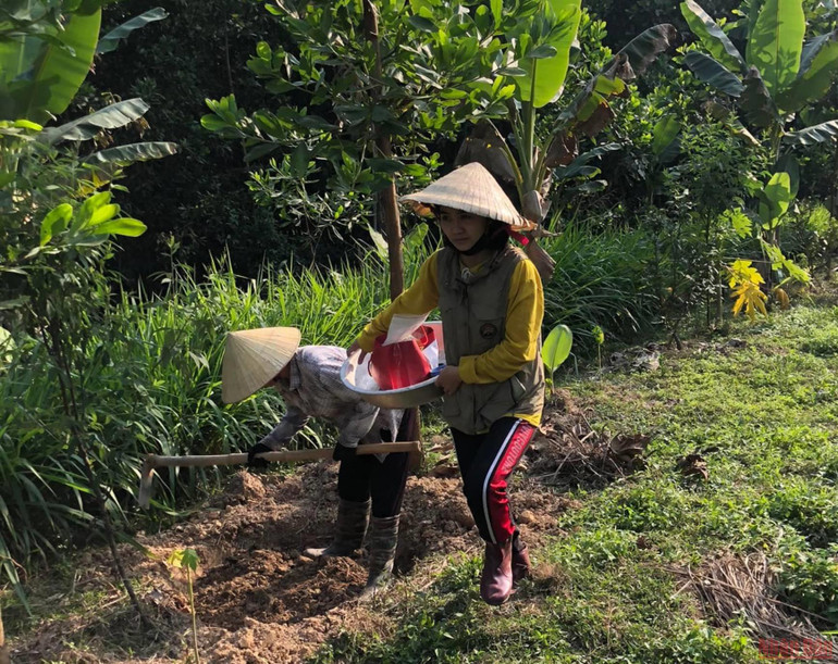 Người phụ nữ bản Thổ khát vọng hồi sinh những cánh rừng và giấc mơ sinh kế bền vững -0