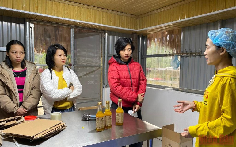 Người phụ nữ bản Thổ khát vọng hồi sinh những cánh rừng và giấc mơ sinh kế bền vững -0