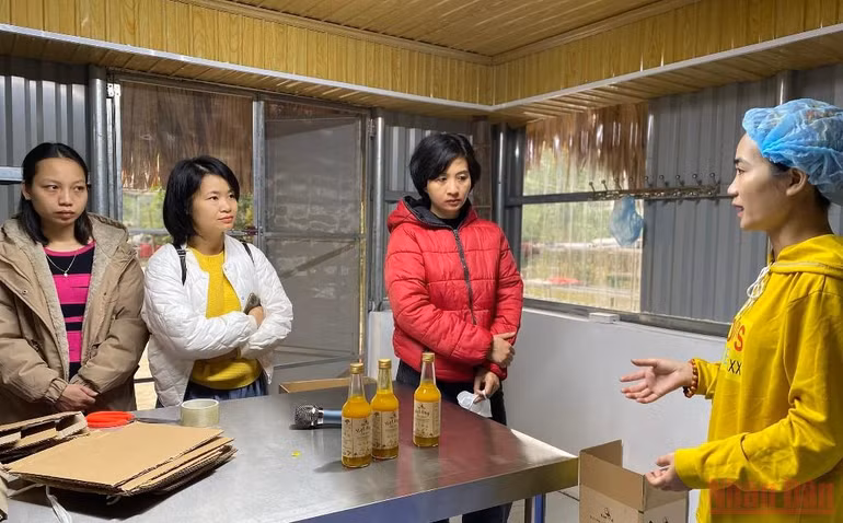 Người phụ nữ bản Thổ khát vọng hồi sinh những cánh rừng và giấc mơ sinh kế bền vững -0