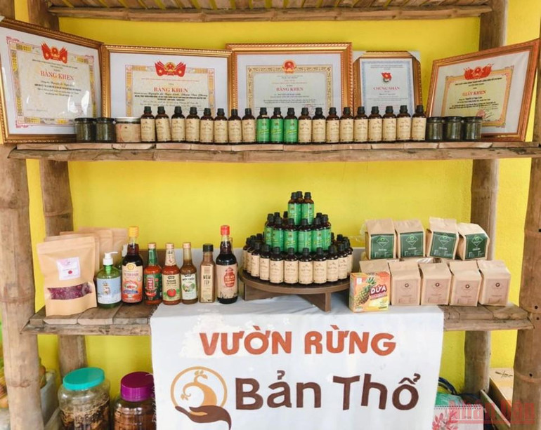 Người phụ nữ bản Thổ khát vọng hồi sinh những cánh rừng và giấc mơ sinh kế bền vững -0