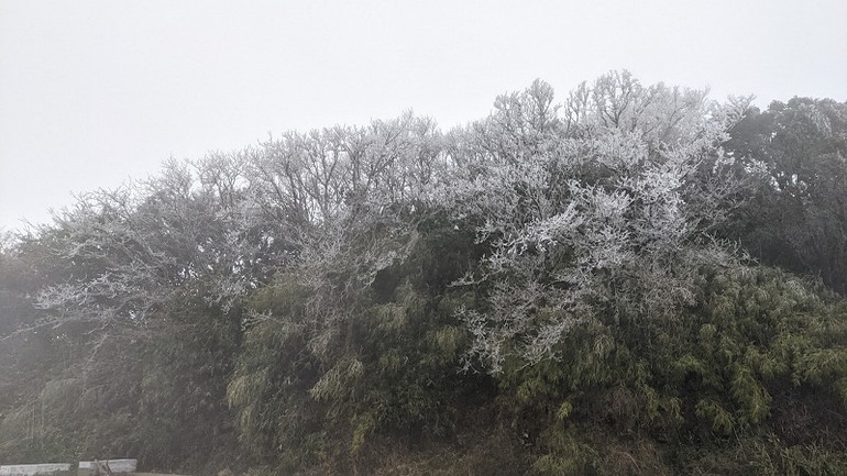 Đỉnh Phja Oắc (Cao Bằng) âm 6 độ C, băng phủ trắng núi rừng -0