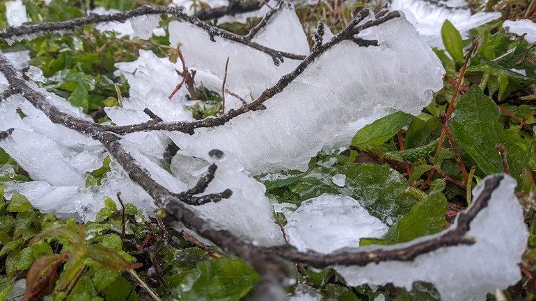 Đỉnh Phja Oắc (Cao Bằng) âm 6 độ C, băng phủ trắng núi rừng -0