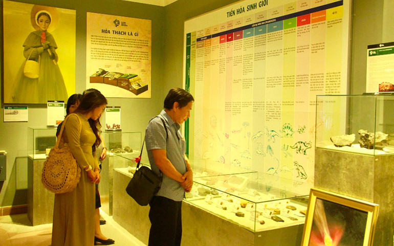 Những mẫu đá nguyên thủy duy nhất được trưng bày tại triển lãm. Hóa thạch - Hành trình khám phá nguồn gốc của sự sống trên Trái Đất -0