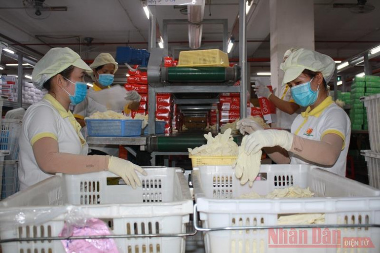 Tập đoàn cao su xây dựng chuỗi giá trị sản phẩm -0