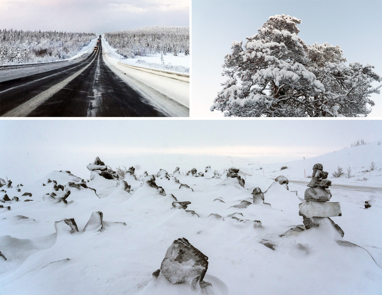 Những ngày ở Bắc Cực -0