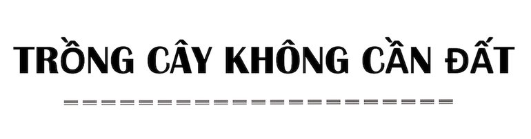 Bên trong nông trại đô thị trên mái nhà lớn nhất thế giới -0