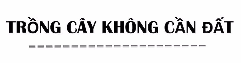 Bên trong nông trại đô thị trên mái nhà lớn nhất thế giới -0